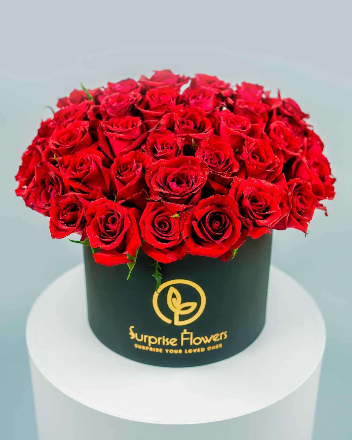 Red Roses in a Box Send Flowers to Dubai Flower Shop