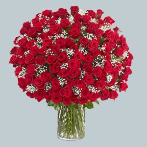 200 Elegant Red Roses in a Vase 1690 Aed
