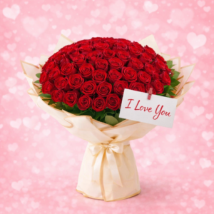 Velvet Red Rose Embrace